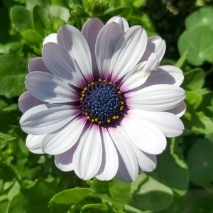 Meet your Posher, Jana